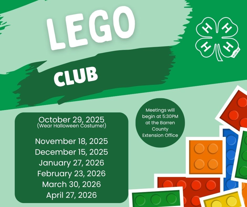 lego club